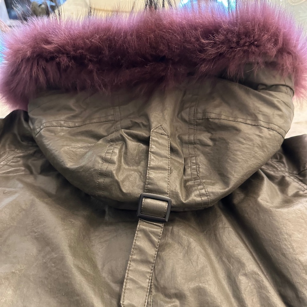 Jacket - Picture 4 of 7